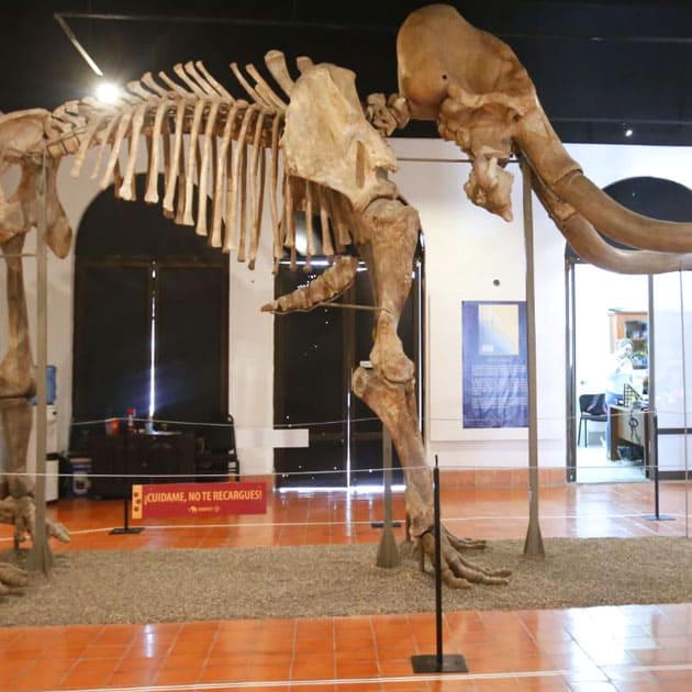 Visitar el Museo Arqueológico de Mazatlán
